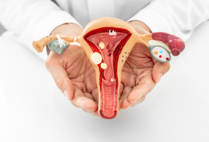 rahim-ici-endometrium-polip